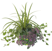 Aranjament de plante ornamentale pentru exterior