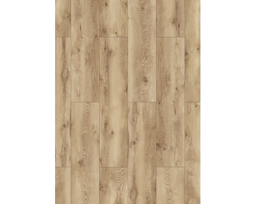 Parchet laminat Classen 8 mm Formagio oak