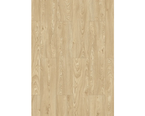 Parchet laminat Classen 8 mm Evolution king oak