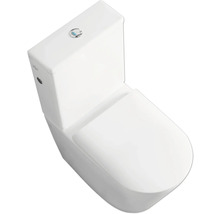 Jungborn Set vas WC pe pardoseală Floriel, fără ramă clătire, alb-thumb-10