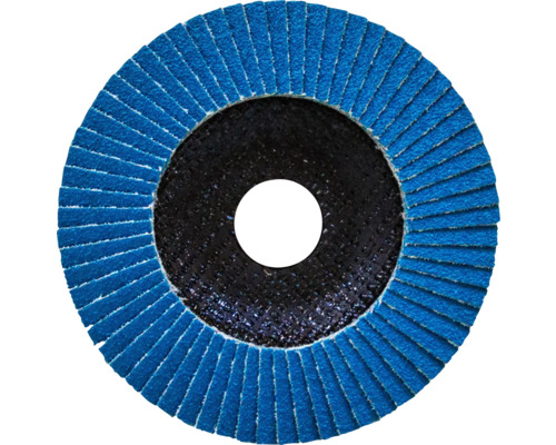 Disc abraziv cu lamele