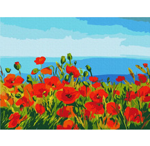 Pictură pe numere Field of Poppies 30x40 cm