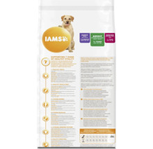 Iams hrană uscată pentru câini, pentru căței, adulți și câini seniori