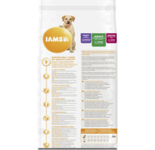 Logo Iams. Hrană pentru câini de rasă mare de diferite vârste.