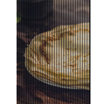 Un stivă de clătite într-o farfurie