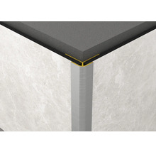 Detaliu colț faianță cu profil de margine