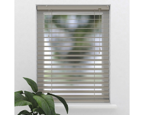 Fereastră cu jaluzele orizontale pentru reglarea luminii