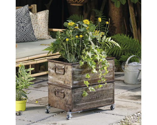 Jardinieră metalică în stil vintage pe roți cu plantare