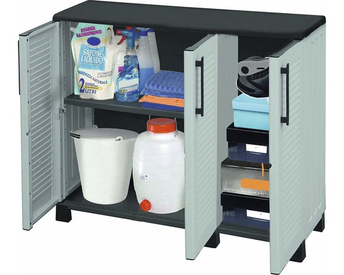 Dulap de depozitare cu două uși și două rafturi pentru depozitarea diferitelor articole