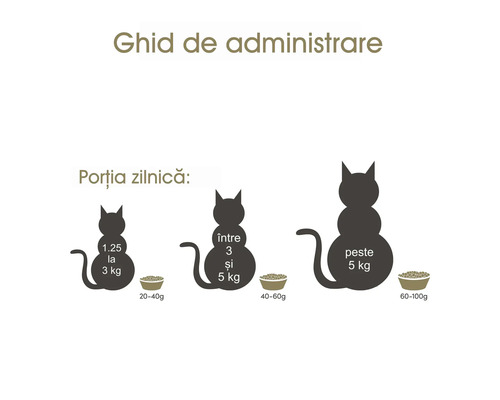Ghid de administrare a hranei pentru pisici în funcție de greutate