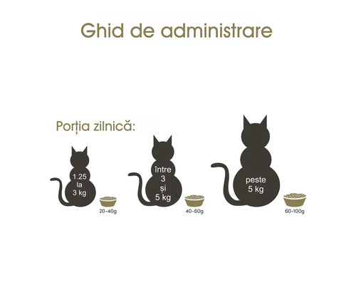 Ghid de administrare a hranei pentru pisici în funcție de greutate