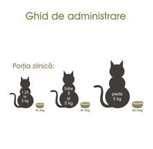 Ghid de administrare a hranei pentru pisici