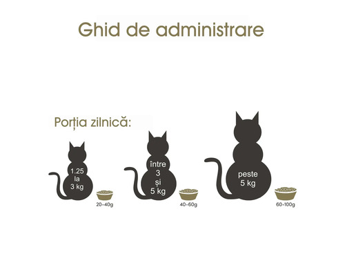 Ghid de administrare a hranei pentru pisici, în funcție de greutate