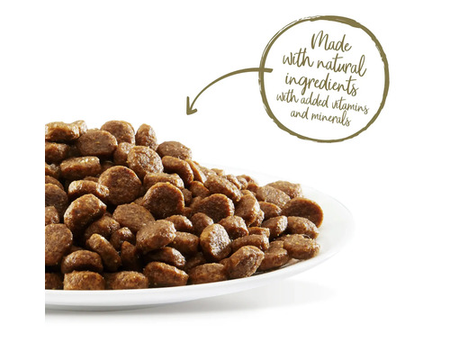 Hrană pentru câini cu ingrediente naturale pe o farfurie