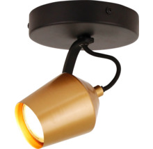 Spot de tavan din metal cu o lumină