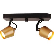 Lumină de plafon cu două spoturi metalice
