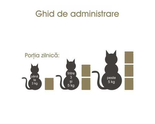 Ghid de administrare a porției zilnice de mâncare în funcție de greutatea pisicii