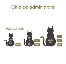 Ghid de administrare a hranei pentru pisici în funcție de greutate