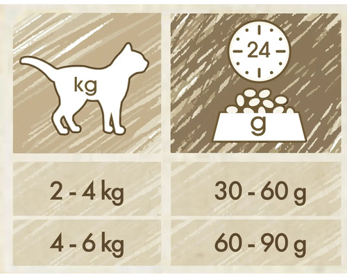 Recomandări de hrănire pentru pisici în funcție de greutate și rația zilnică