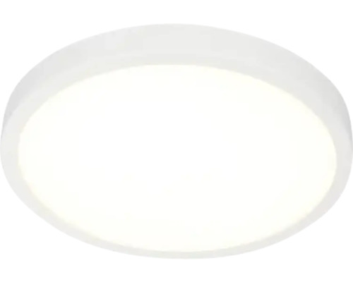Panou cu LED integrat Erste 24W 2040 lumeni Ø23cm, montaj aplicat, lumină neutră, alb