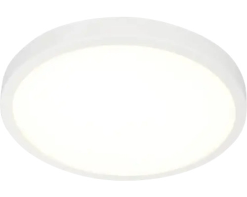 Panou cu LED integrat Erste 28W 2320 lumeni Ø30cm, montaj aplicat, lumină neutră, alb
