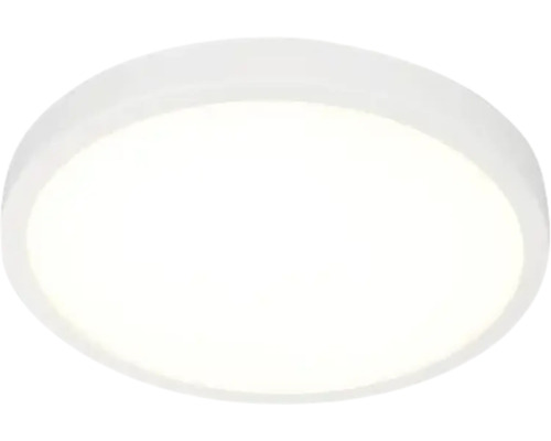 Panou cu LED integrat Erste 38W 3230 lumeni Ø40cm, montaj aplicat, lumină neutră, alb