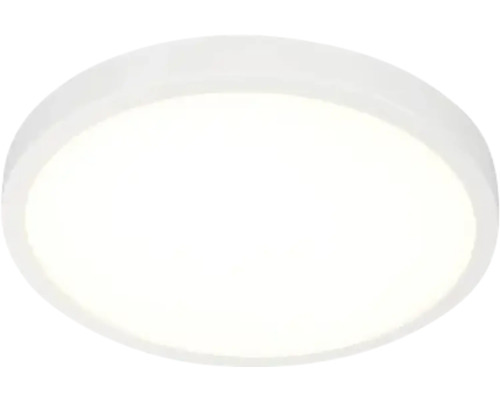 Panou cu LED integrat Erste 48W 4080 lumeni Ø50cm, montaj aplicat, lumină neutră, alb