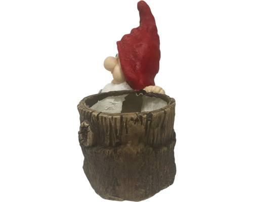 Ghiveci de flori în formă de butuc de copac cu pitic de grădină