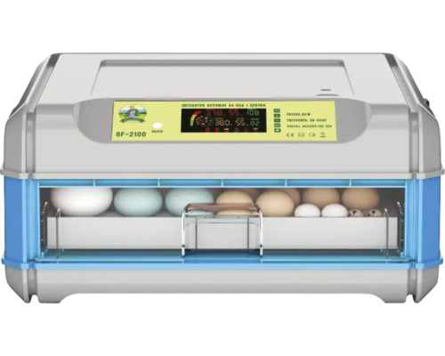 Incubator de ouă cu afișaj digital și ouă