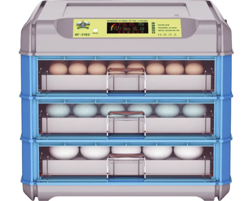 Incubator cu trei niveluri și ouă în diferite stadii de dezvoltare