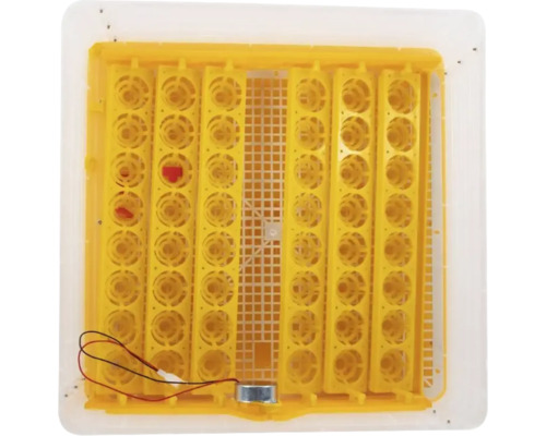 Incubator cu întoarcere automată a ouălor