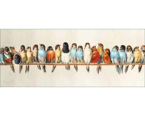 Tablou sticlă Birds III 80x30 cm