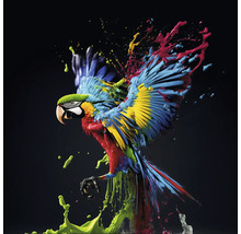 Ilustrație cu un papagal cu stropi de vopsea