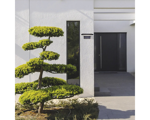 Exteriorul unei case moderne cu o lampă solară lângă o ușă