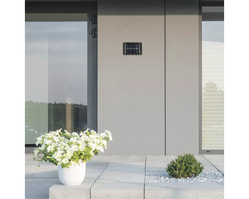 Scenă cu o lumină solară pentru numărul casei pe un perete, o floare într-un ghiveci și un arbust mic.