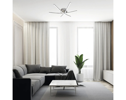 Cameră de zi cu plafonieră, canapea și plantă