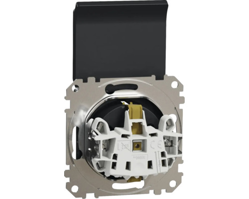 Vedere din spate a unei prize cu capac rabatabil