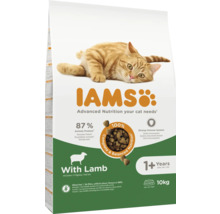 Iams hrană pentru pisici cu miel pentru pisici de la un an, 10 kilograme
