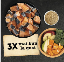 Compoziție din pește, legume și cereale