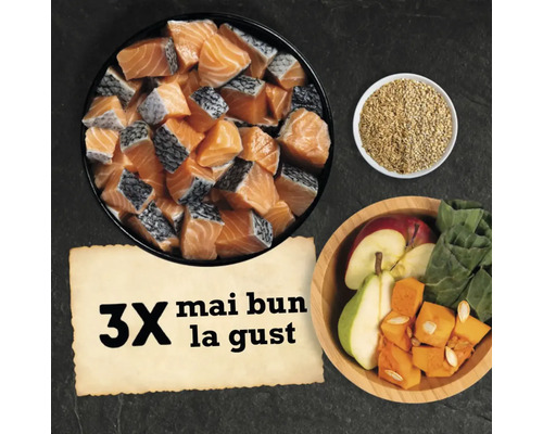 Compoziție din pește, legume și cereale