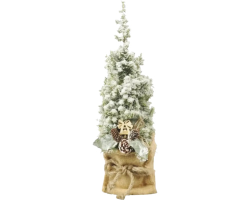 Chiparos în ghiveci FloraSelf Top Point Chamaecyparis lawsoniana 'Ellwoodii' H 35-40 cm Ø 13 cm Brad decorativ de Crăciun, acoperit cu zăpadă, cu sac de iută