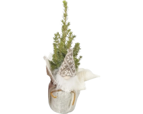 Chiparos decorativ cu spiriduș în ambalaj de iută