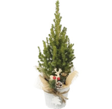 Brad artificial mic decorativ în ghiveci cu decorațiuni de Crăciun.