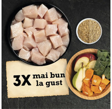Ingrediente pentru hrana animalelor: cuburi de carne, cereale, fructe și legume.