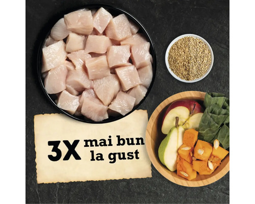 Ingrediente pentru hrana animalelor: cuburi de carne, cereale, fructe și legume.