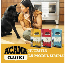 Femeie cu câine și trei pachete de mâncare pentru câini Acana Classics