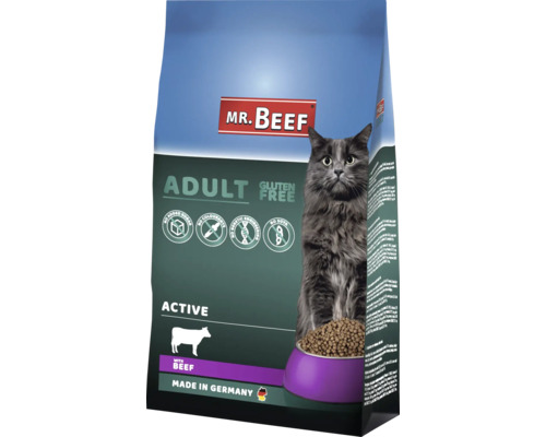 Hrană uscată pentru pisici MR. BEEF Active Adult cu vită fără gluten 3 kg