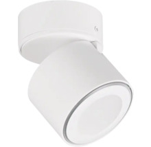 Lumină de plafon albă cu spot reglabil