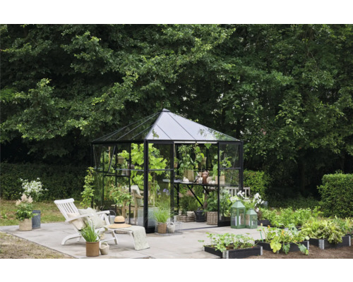 Seră în grădină cu plante, scaun și decorațiuni