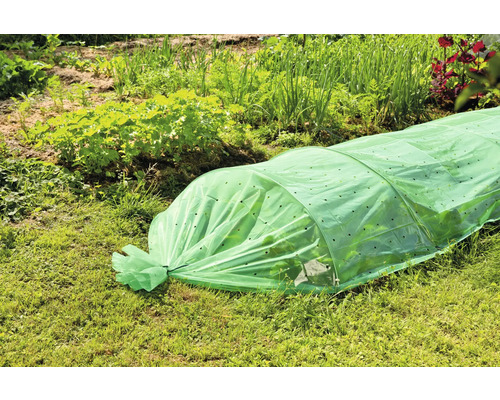 Scenă de grădină cu o mini seră pentru protejarea plantelor